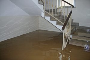 Does your basement look like this? You might need a french or curtain drain on your property.