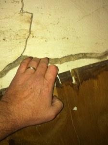 mold inspection