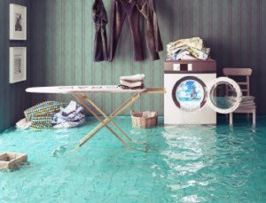 Making the decision to waterproof your basement will help to prevent water from seeping in, leading to water damage. 