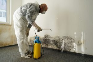 The last thing you want to deal with is water damage in your basement, so here are some basement waterproofing options! 