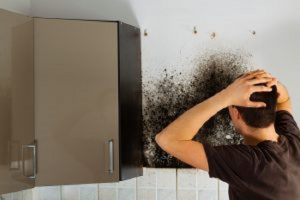 If you think you have mold in your home, it is important to contact a professional to do a mold inspection