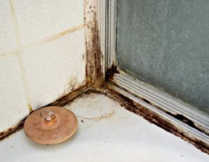 If you notice water damage in your basement, the water is likely coming in through cracks in your foundation which is a sure sign of home foundation problems. 