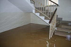 basement flooding