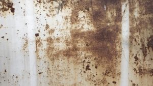 Signs Your Basement Has a Moisture Problem 