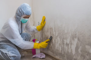 Mold Remediation: What It Is and Why You Need It all aspects waterproofing