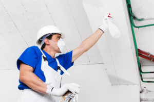 The Importance of Mold Removal all aspects waterproofing