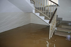 How to Avoid Water Damage in Your Home all aspects waterproofing