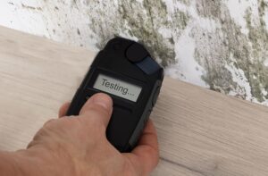 all aspects waterproofing basement mold all aspects waterproofing basement mold